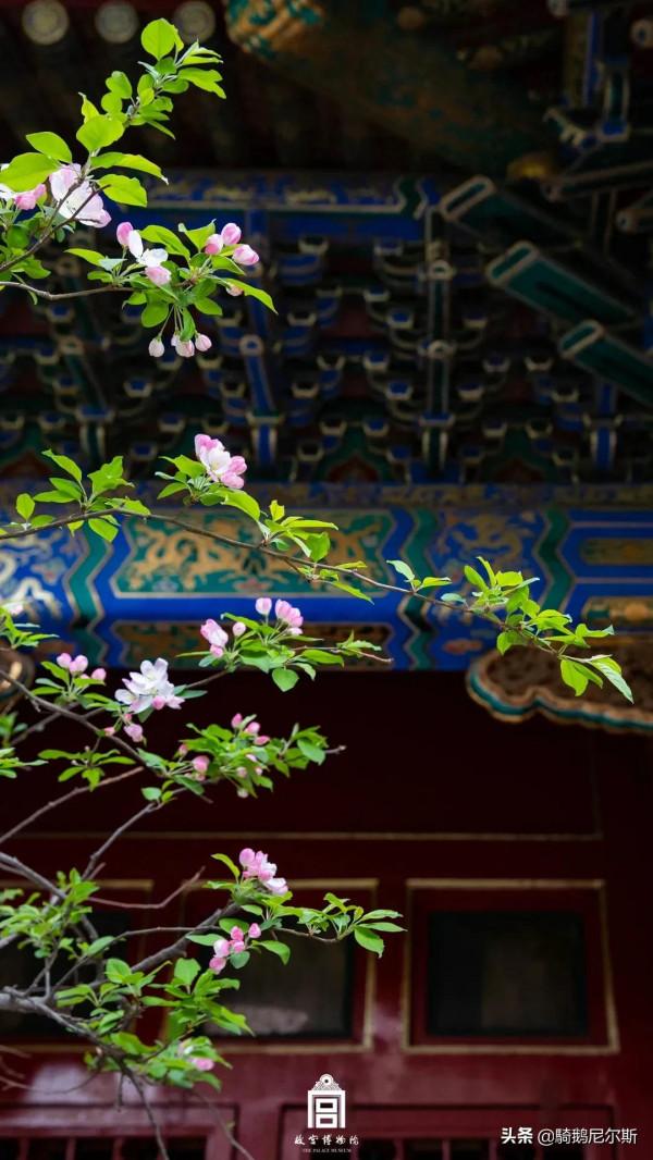 驚豔了時光，尋找故宮之美