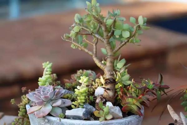 《燦爛輝煌的開放世界：隋唐五代》作者：孫英剛