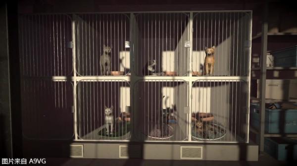 敘事向遊戲《Copycat》年內登陸Steam 流浪小貓感受人間冷暖