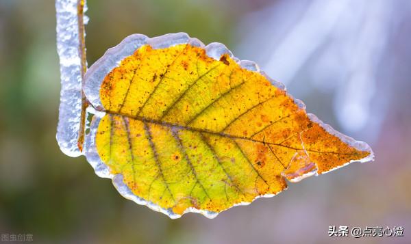 八大容易錯詞語讀音