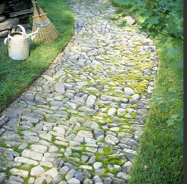 院子地面鋪設又出妙招,省工省錢,耐用性更是地磚、打水泥的2倍 院子地面鋪設又出妙招,省工省錢,耐用性更是地磚、打水泥的2倍