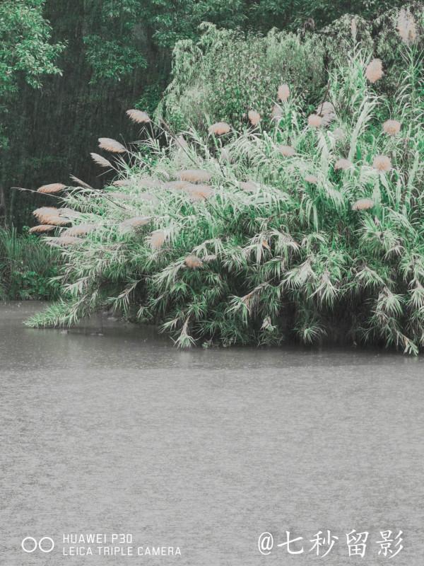 國家5A景區古隆中 國家5A景區古隆中