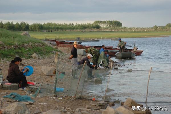 那一年釣魚撿了塊奇石，《阿里巴巴》還得倒了金獎