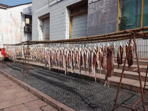 魚蟹不論錢 魚蟹不論錢