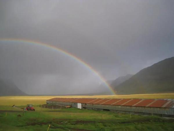 《天下第一奇書：智囊大全集》（十九）作者：馮夢龍
