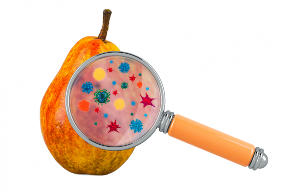 誘人水果的背後,暗藏著怎樣的危險 誘人水果的背後,暗藏著怎樣的危險