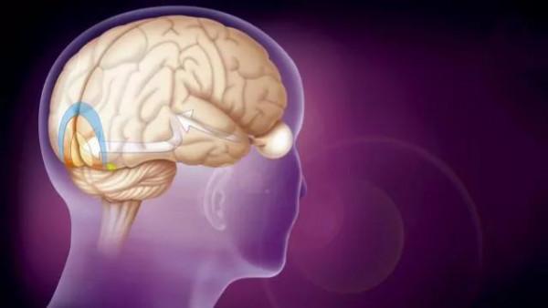 開發右腦對智力有什麼好處呢？