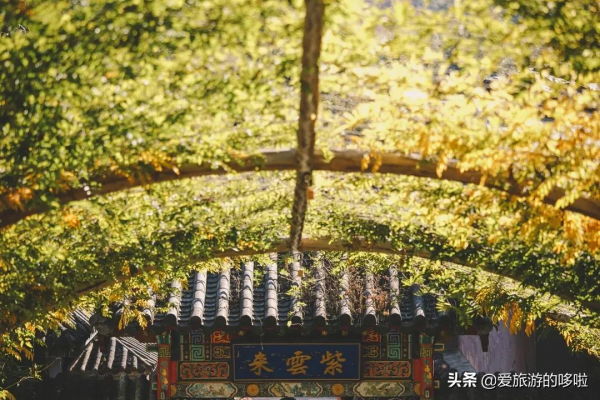 看展喝咖啡、賞壁畫、聽古樂…這座城市的寺廟也太厲害了吧