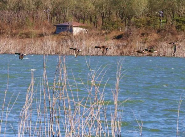 今日北京美圖大賞