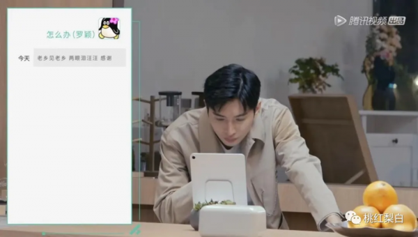 光是王子文和景甜的金句，追《半熟戀人》就值了