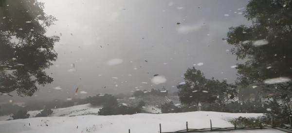 顯示卡殺手！紅色沙漠次世代新引擎獨家解讀：以假亂真的虛擬世界