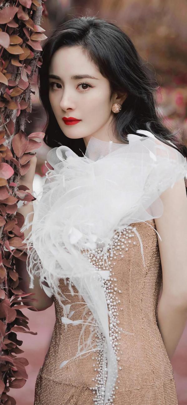 iPhone13系列桌布精選：楊冪