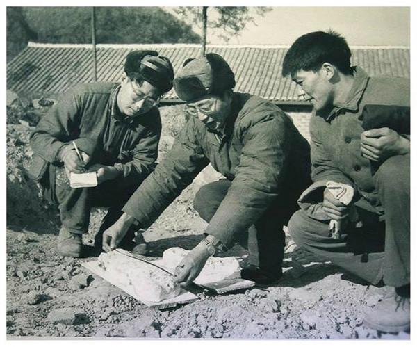 神農架相傳出現驢頭狼,吃農戶養的豬,揭秘:疑是“四不像”鬣羚 神農架相傳出現驢頭狼,吃農戶養的豬,揭秘:疑是“四不像”鬣羚
