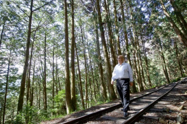 逆襲為百億富豪的秦榮華，從日本買10000根木頭：這本就是中國的