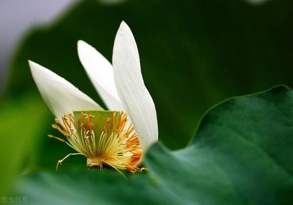 “享年”與“終年”，都是表示死亡，它們之間到底有什麼區別？