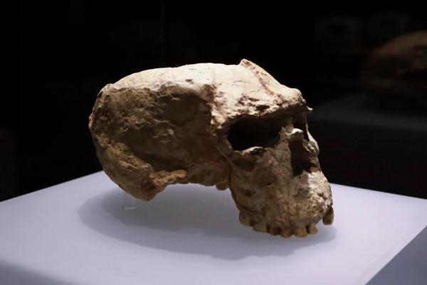 蘇州女子第二次武漢之旅，超推薦這四個打卡地！越來越喜歡這座城