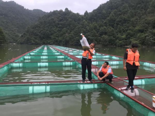 有條小魚,正從大別山“遊”向長三角…… 有條小魚,正從大別山“遊”向長三角……