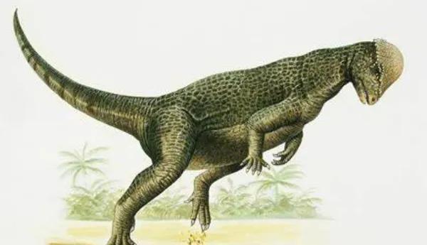 傾頭龍：厚頭龍類小型恐龍(長2.5米/顱骨長刺)