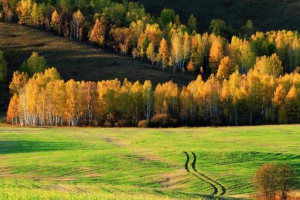 黑河對於黑龍江有多重要?一百六十年前的《璦琿條約》早已說明 黑河對於黑龍江有多重要?一百六十年前的《璦琿條約》早已說明