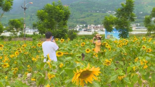 「勞動節•文明旅遊正面引導與反面曝光」“五一”小長假不文明旅遊行為曝光