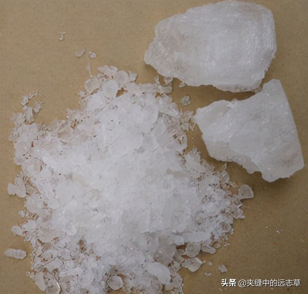 肩周炎，活動受限？送你四味中藥，祛頑痰，通經絡，快來了解下吧