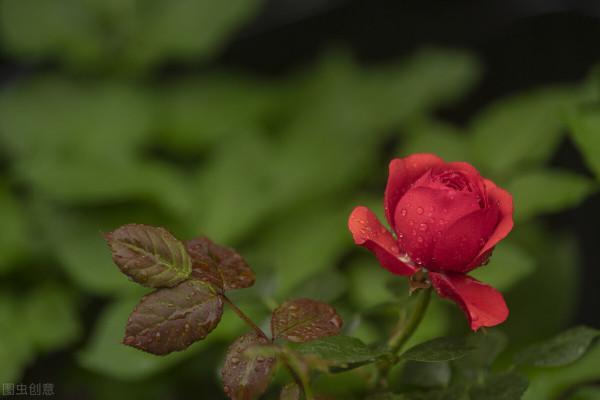 雅稱、代稱、它稱、別稱彙總(二) 雅稱、代稱、它稱、別稱彙總(二)