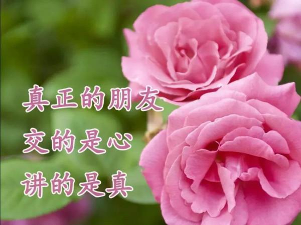 一生的朋友,認識你真好 一生的朋友,認識你真好