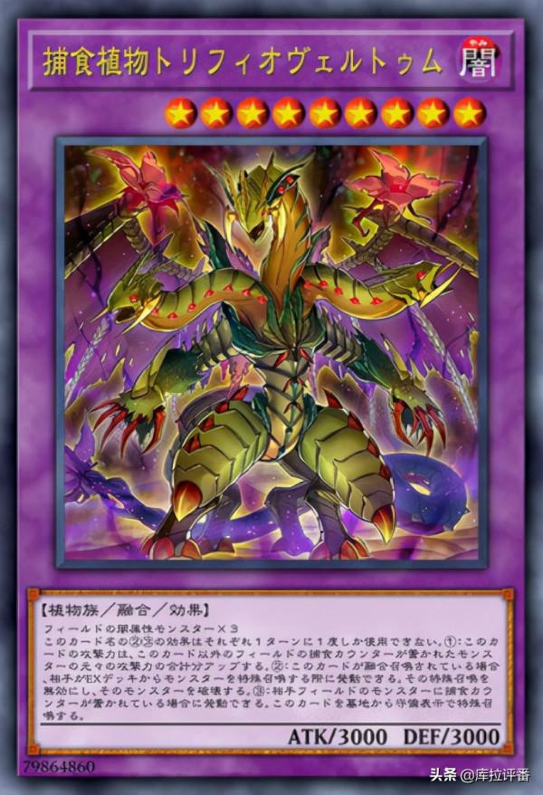 遊戲王,兇餓毒捕食植物融合龍,捕食植物新卡投入 遊戲王,兇餓毒捕食植物融合龍,捕食植物新卡投入