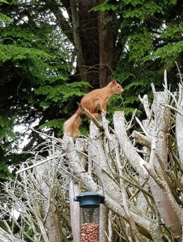 人說，休息是為了走更長遠的路