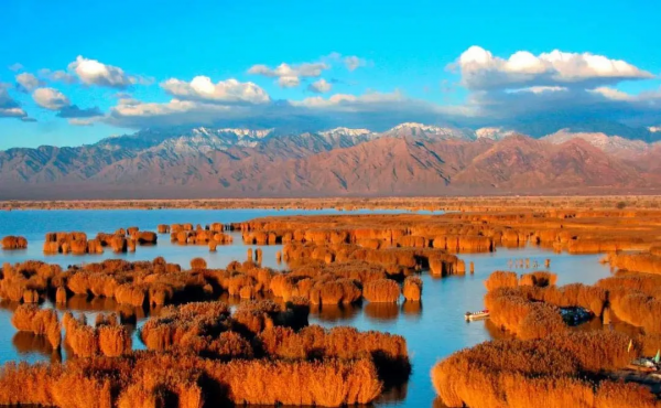 別等頭髮花白才說“我要出去走遠方”，趁冬日暖陽，遇見恰好風景
