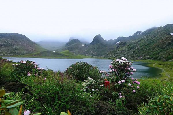 如果多數人的意見正確，那世界該多麼無趣