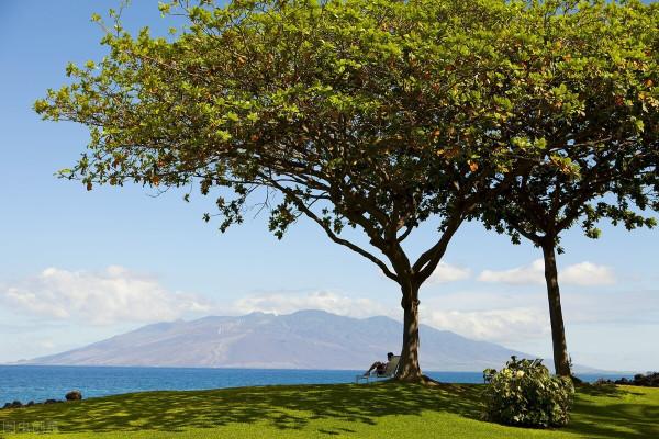 有些人成功感覺容易，有些人努力卻一事無成，望你讀懂其中道理