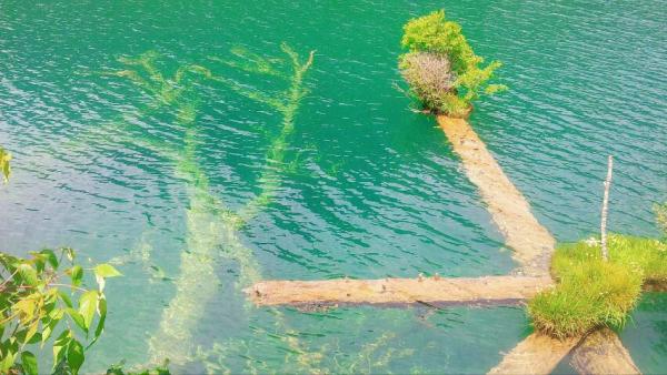 遊九寨不可久戀