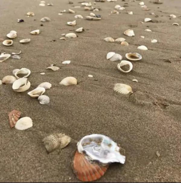 讀餘秀華的小詩《只有這樣才是誠懇的》