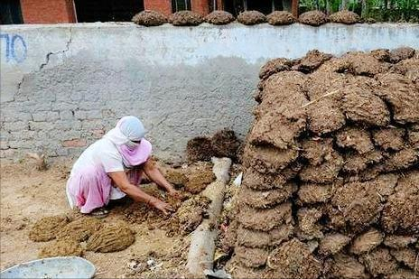 揭秘：“乾淨又衛生”的印度料理，為什麼印度總是把飯做成糊糊？