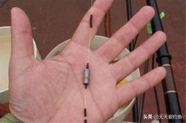 過了秋分,大魚小魚都好釣,釣組可以這樣搭配,能夠大小兼顧 過了秋分,大魚小魚都好釣,釣組可以這樣搭配,能夠大小兼顧