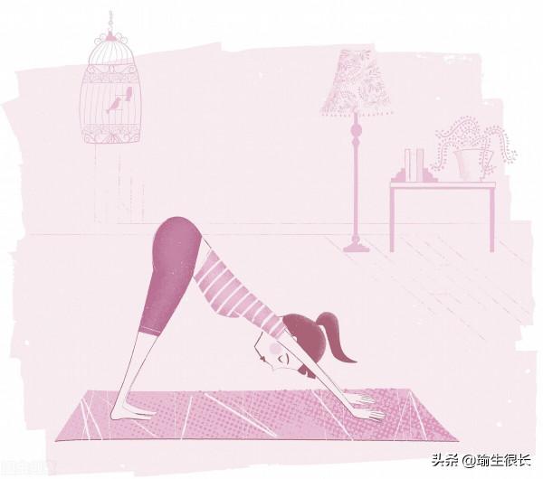 練瑜伽,下犬很重要,那為什麼要練下犬你知道嗎? 練瑜伽,下犬很重要,那為什麼要練下犬你知道嗎?