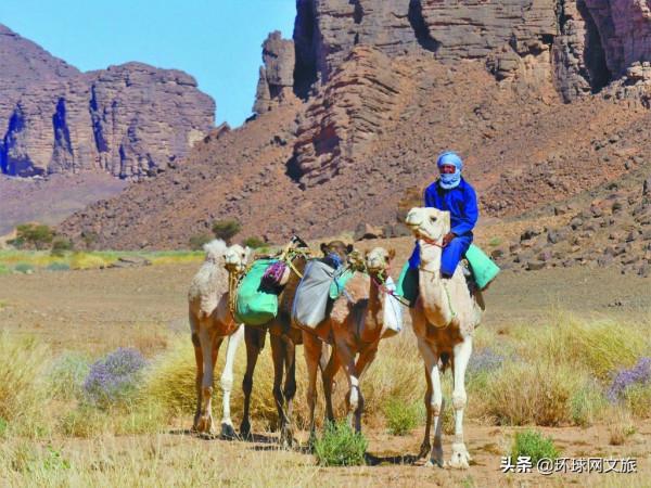 “撒哈拉藍人”，沙漠中的行吟詩人
