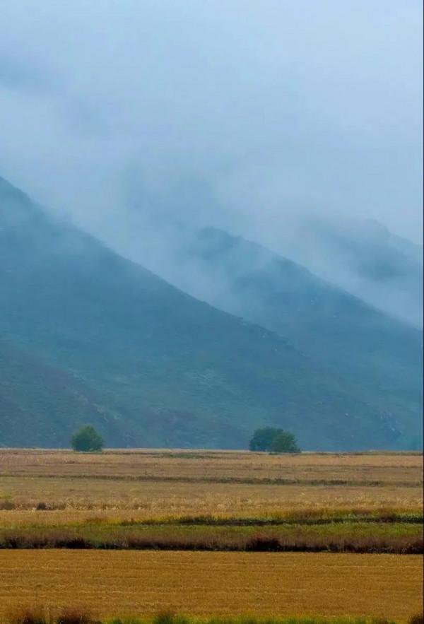 層林盡染的黃崗梁,許你一個秋天的童話 層林盡染的黃崗梁,許你一個秋天的童話