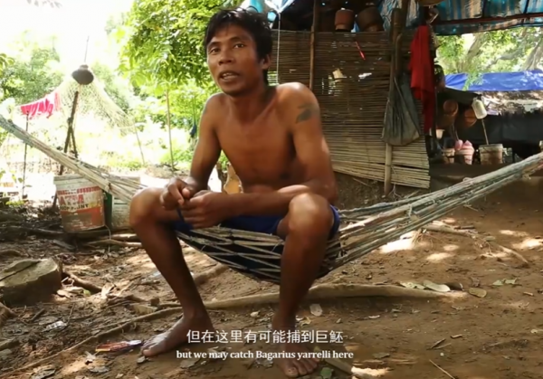 湄公河最瘋狂的捕魚人，極端洪水嚇得你冒冷汗，他們卻在水中玩命