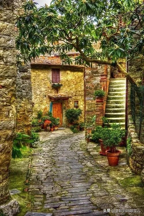 分享——美景小道