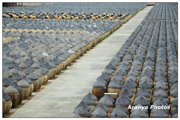 廈門島外6萬缸醬油，頭戴斗笠列隊，這樣的陣仗你見過嗎？