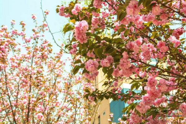 一年四季，這些“絕美”的瞬間你見到了嗎？