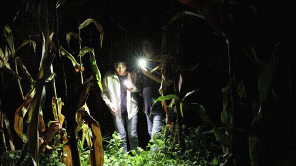 中秋|月黑風高夜,摸秋正當時 中秋|月黑風高夜,摸秋正當時