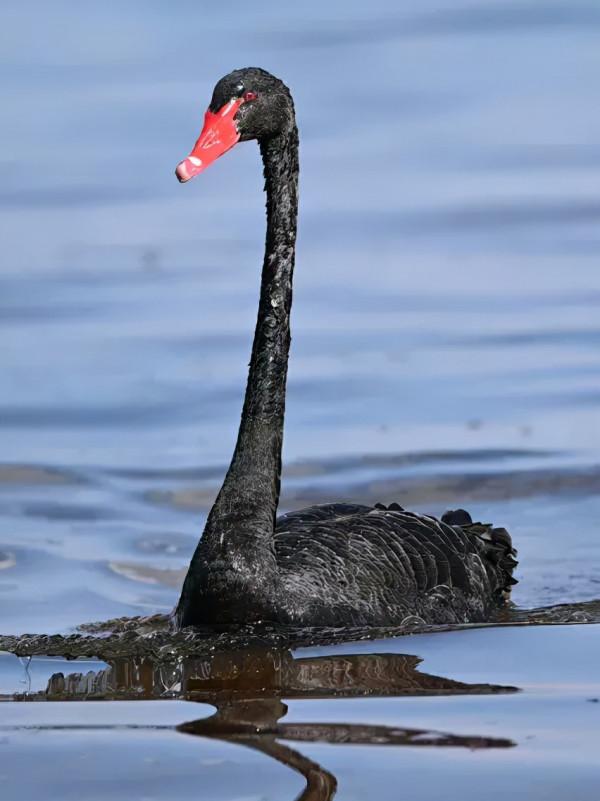 找個時間，去中國10大絕美秘境看看，總有一個，會讓你愛上