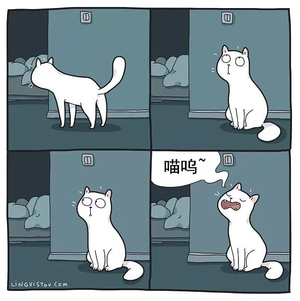 人間真實！藝術家筆下“貓主子”的日常