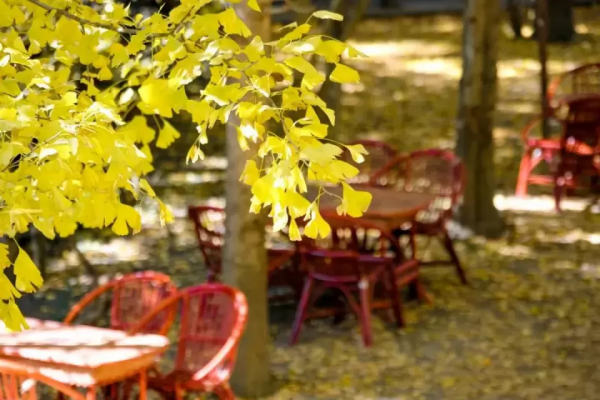 年初的旅行計劃都實現了嗎？這12個地方人少景美，再不去就晚了