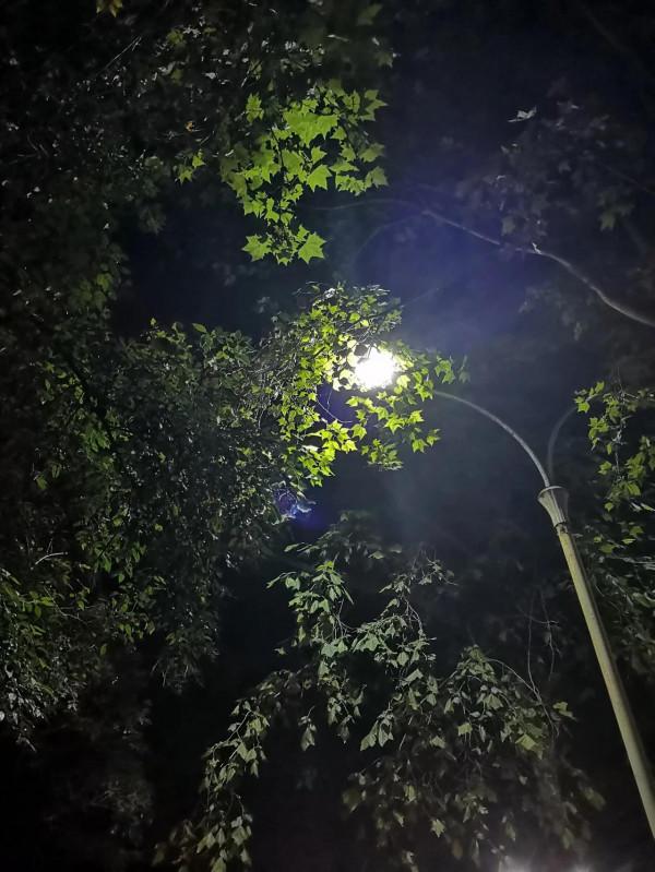 《當我談跑步時，我談些什麼》讀書筆記2