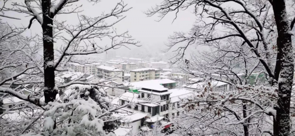 留壩：雪花紛飛迎新春 銀裝素裹靚山城