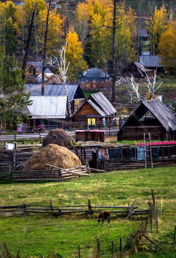 「攝影」西北第一村——白哈巴,讓你去了不想走的一個地方 「攝影」西北第一村——白哈巴,讓你去了不想走的一個地方